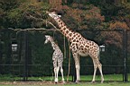 IMG11676_Warszawa_Zoo.jpg