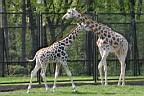 IMG_6883_cr_Warszawa_Zoo.jpg