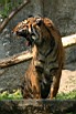 IMG_6900_cr_Warszawa_Zoo.jpg