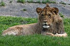 IMG_6943_cr1_Warszawa_Zoo.jpg